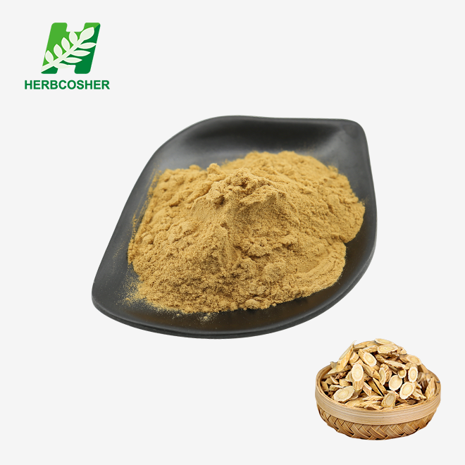 Astragalus Extract Powder